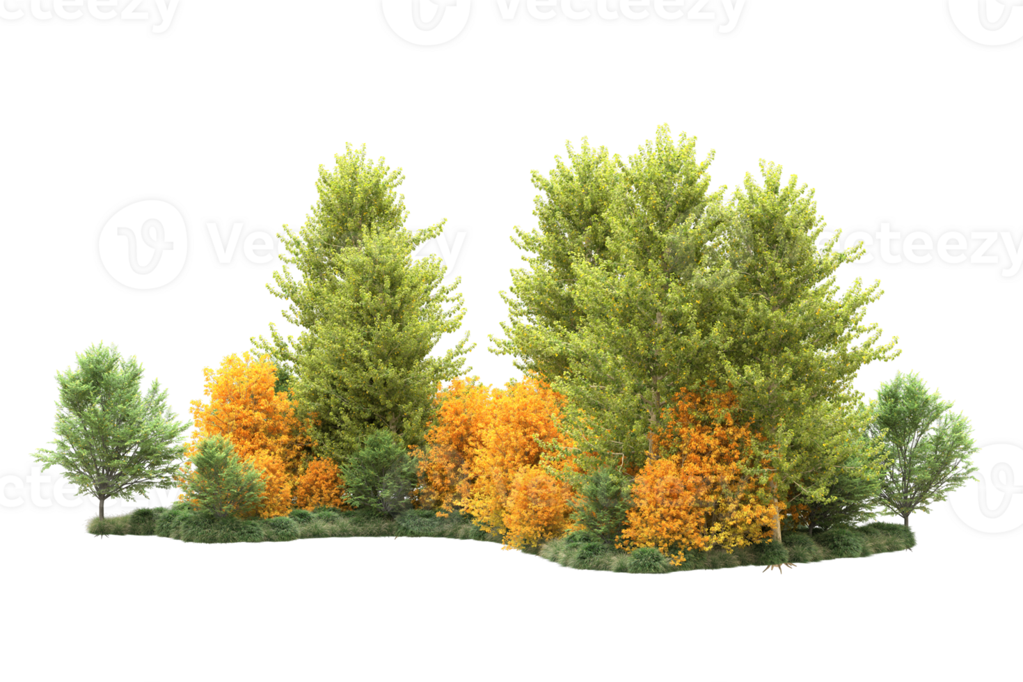 Tropical forest isolated on transparent background. 3d rendering - illustration png