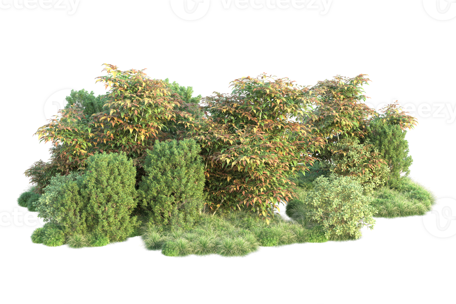 Tropical forest isolated on transparent background. 3d rendering - illustration png