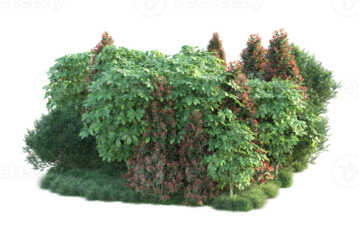 Tropical forest isolated on transparent background. 3d rendering - illustration png