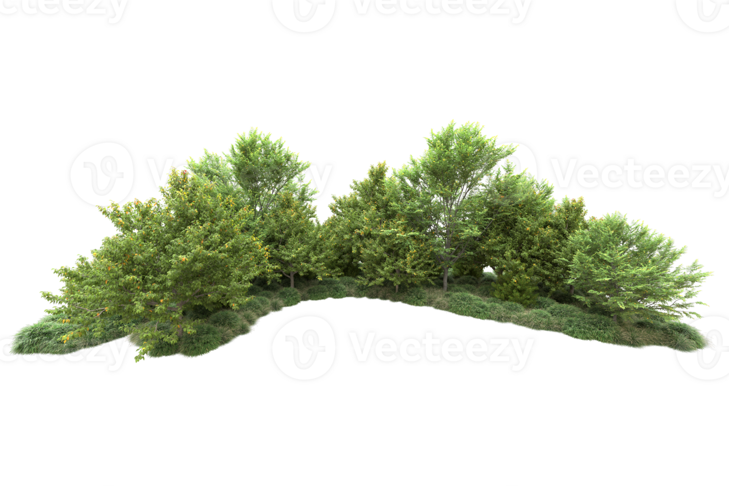 Tropical forest isolated on transparent background. 3d rendering - illustration png