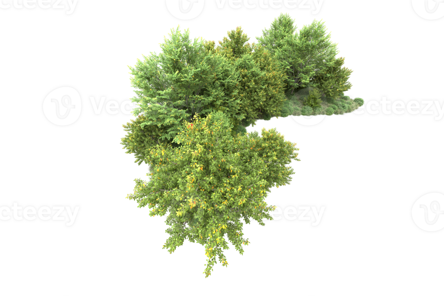 Tropical forest isolated on transparent background. 3d rendering - illustration png