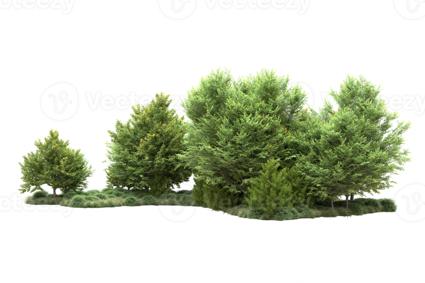 Tropical forest isolated on transparent background. 3d rendering - illustration png