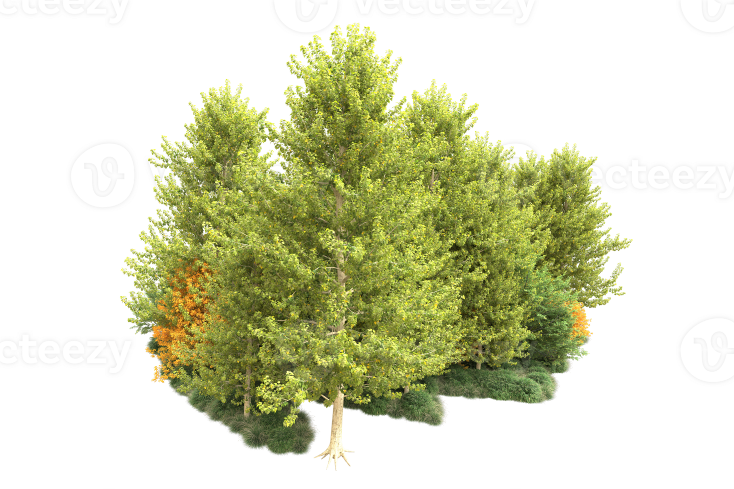Tropical forest isolated on transparent background. 3d rendering - illustration png