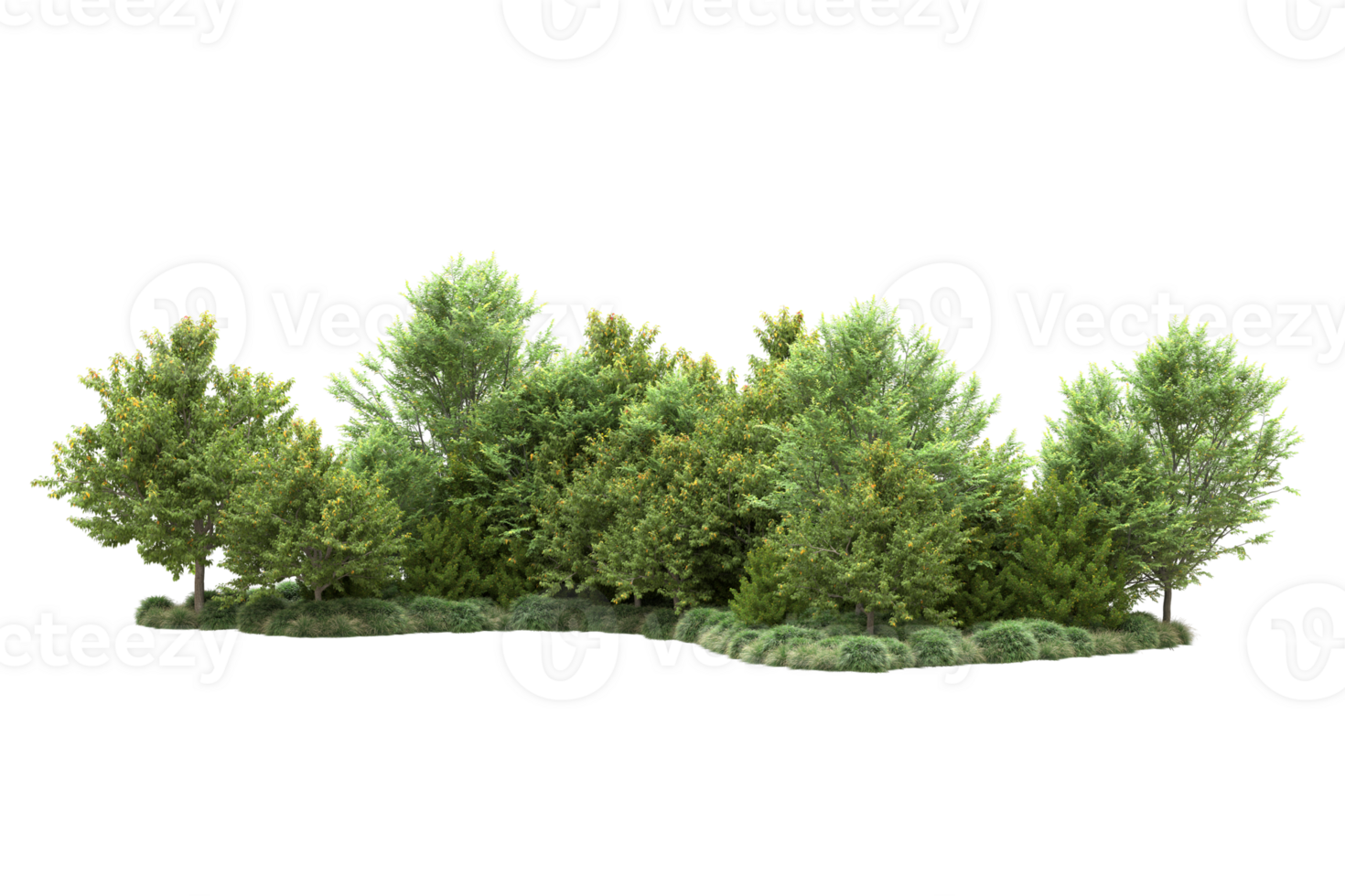Tropical forest isolated on transparent background. 3d rendering - illustration png