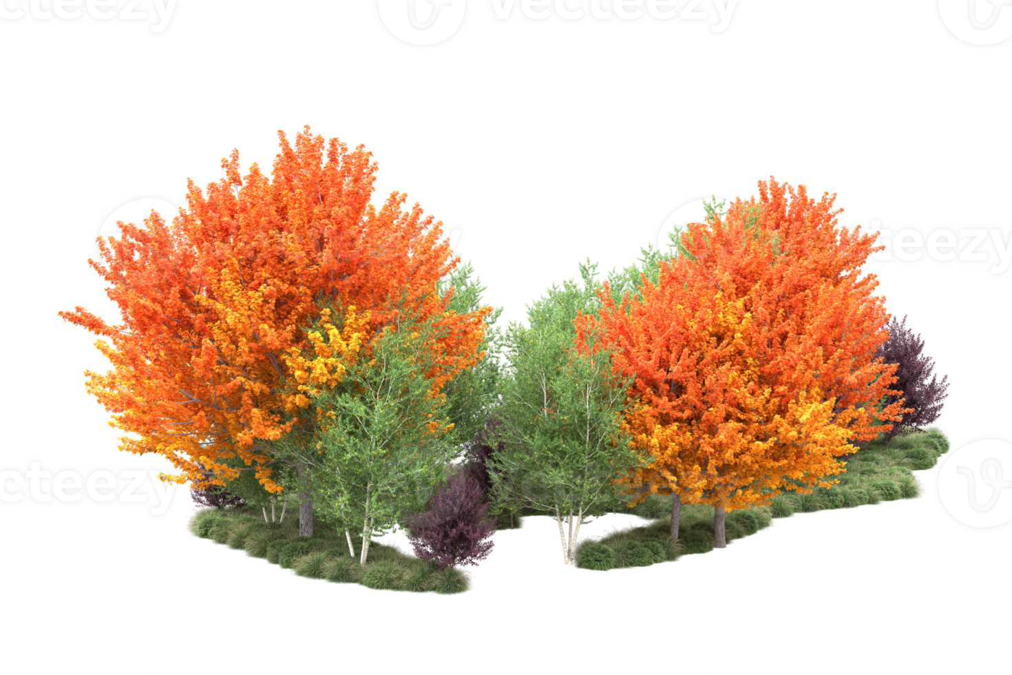 Tropical forest isolated on transparent background. 3d rendering - illustration png