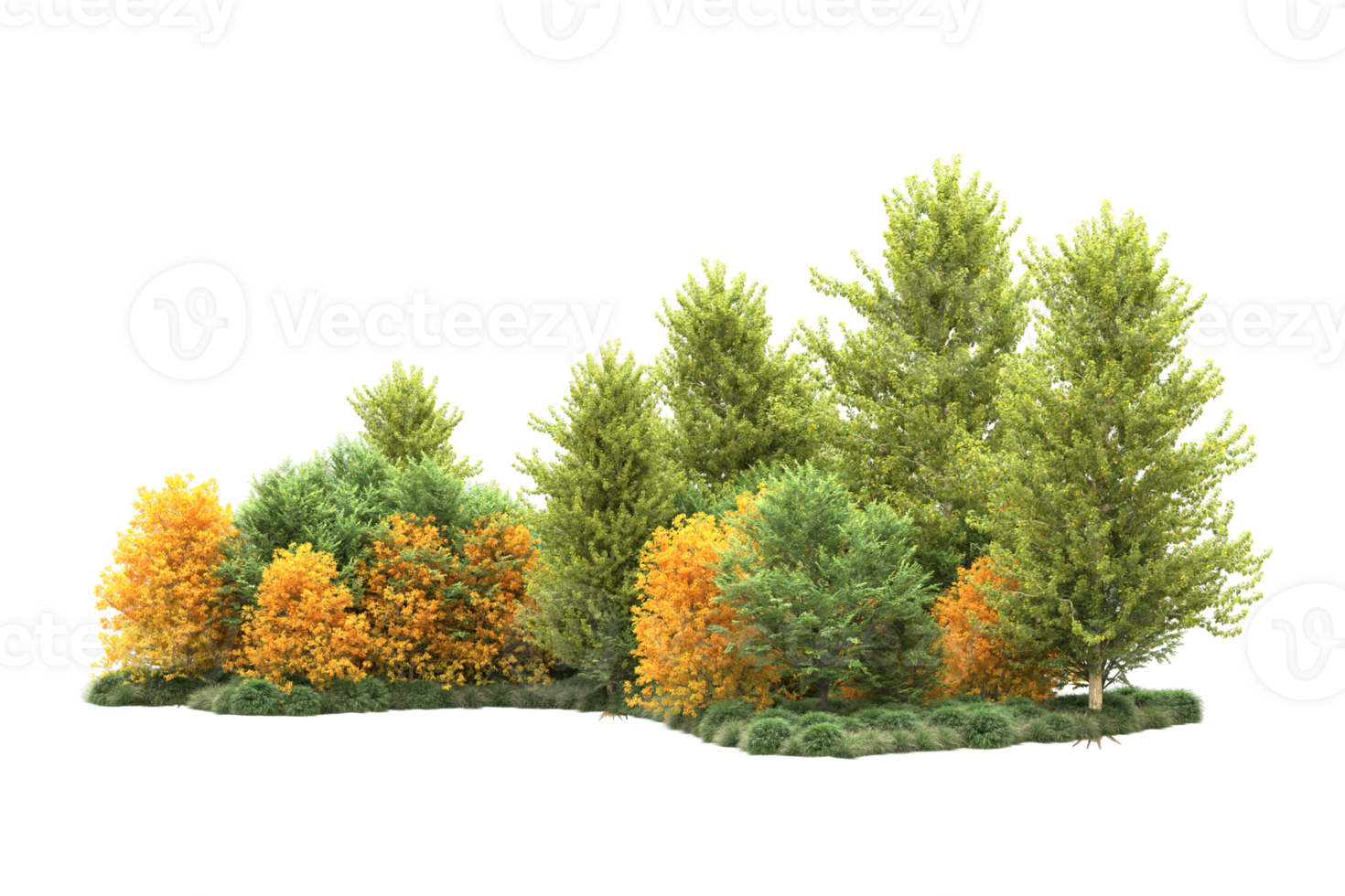Tropical forest isolated on transparent background. 3d rendering - illustration png