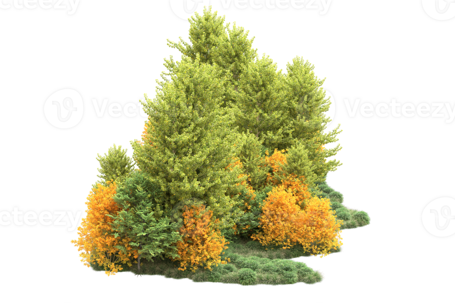 Tropical forest isolated on transparent background. 3d rendering - illustration png