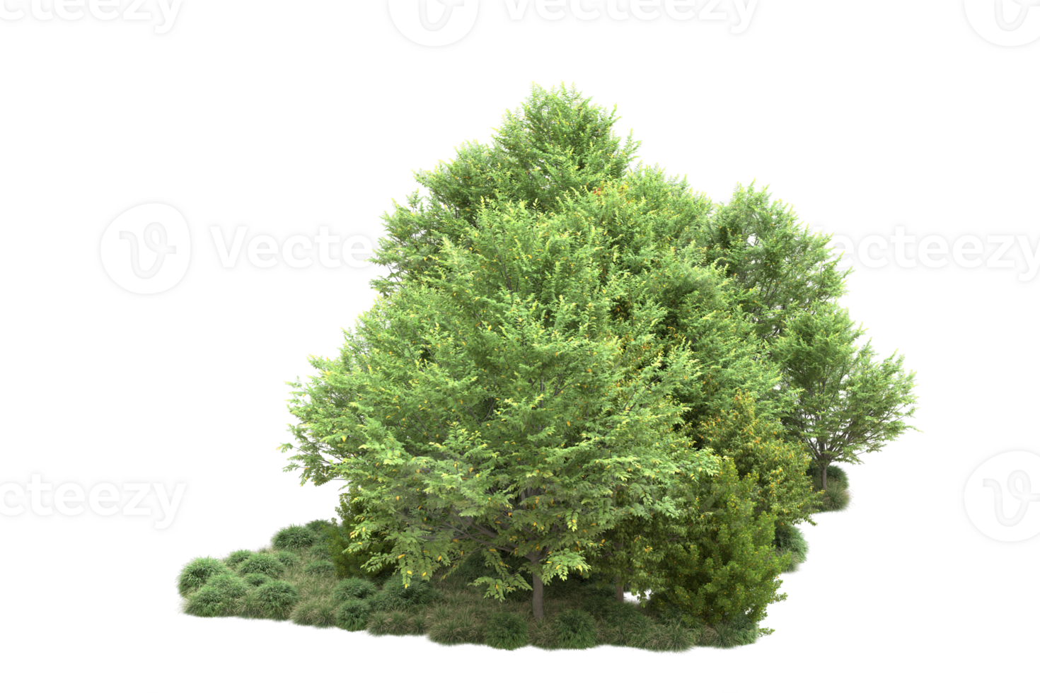 Tropical forest isolated on transparent background. 3d rendering - illustration png