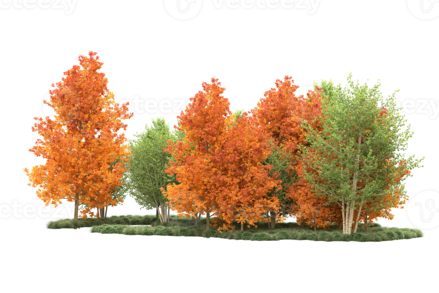Tropical forest isolated on transparent background. 3d rendering - illustration png