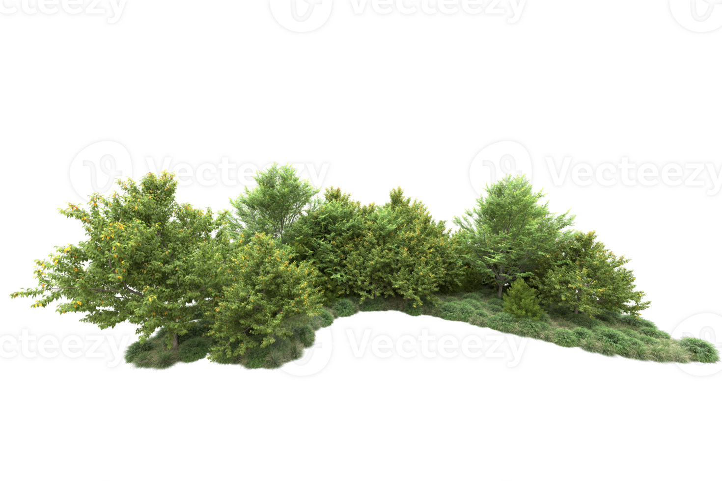 Tropical forest isolated on transparent background. 3d rendering - illustration png