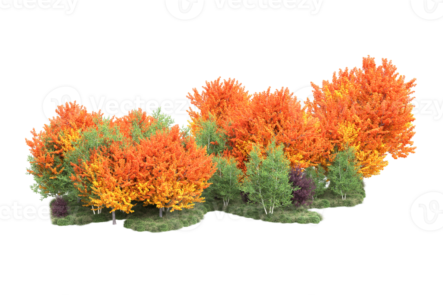 Tropical forest isolated on transparent background. 3d rendering - illustration png