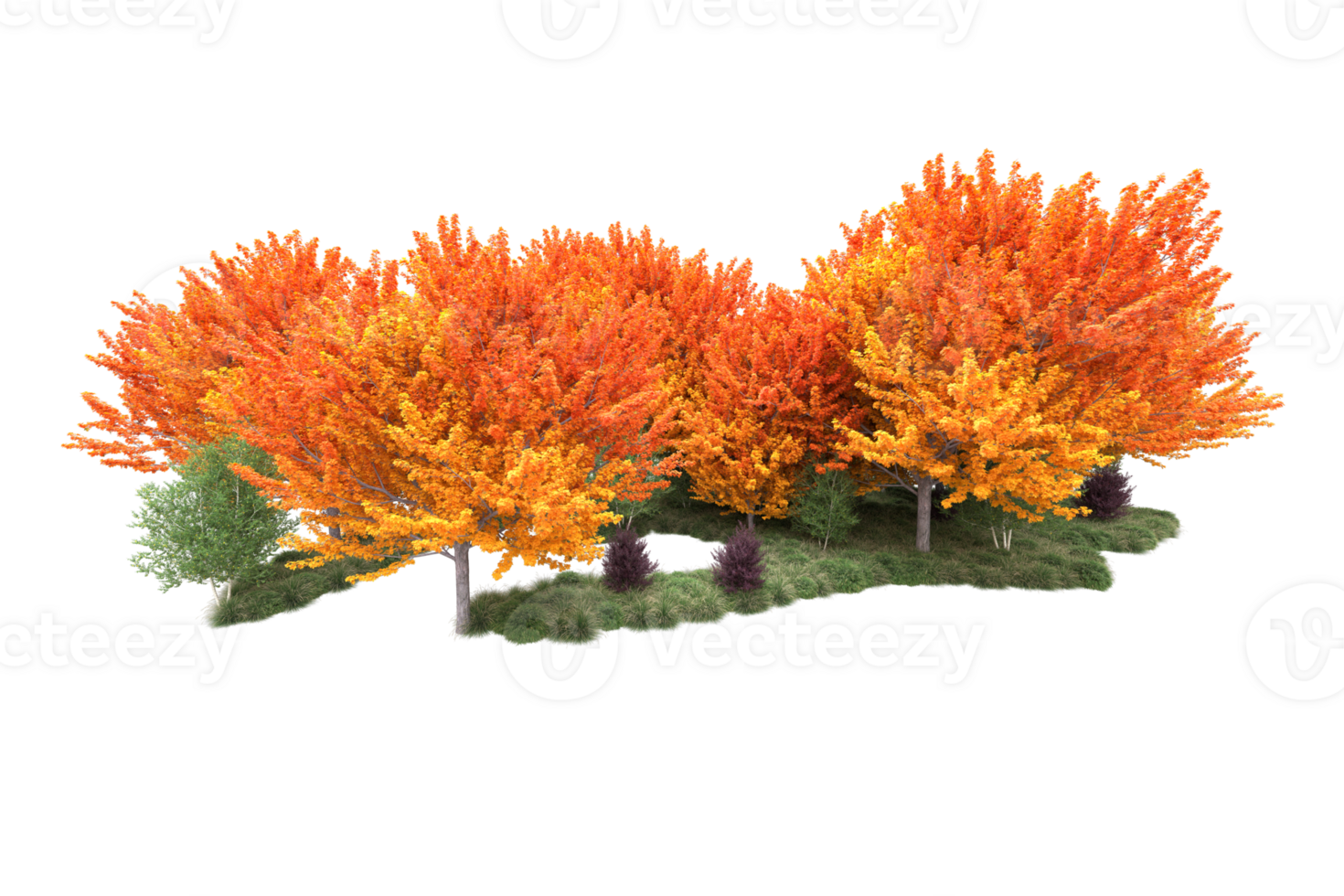 Tropical forest isolated on transparent background. 3d rendering - illustration png