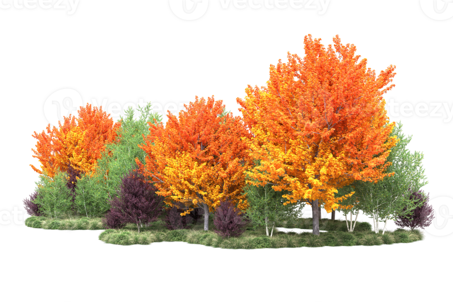 Tropical forest isolated on transparent background. 3d rendering - illustration png