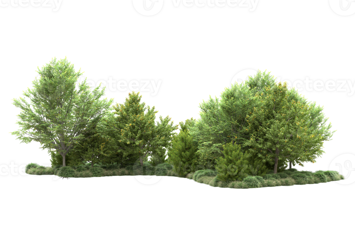 Tropical forest isolated on transparent background. 3d rendering - illustration png