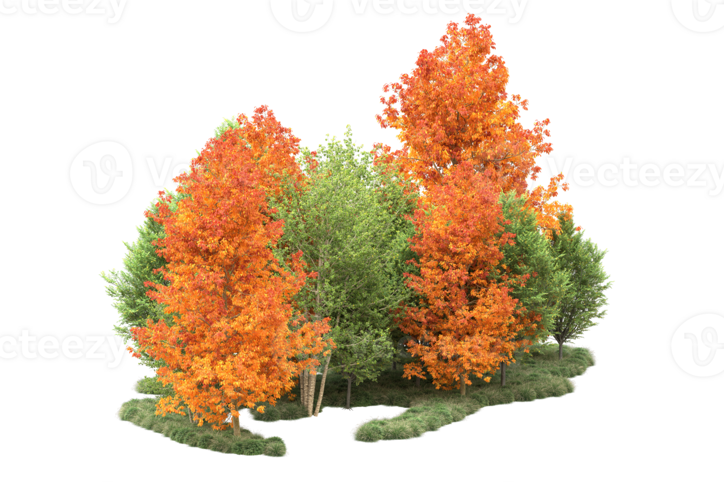 Tropical forest isolated on transparent background. 3d rendering - illustration png