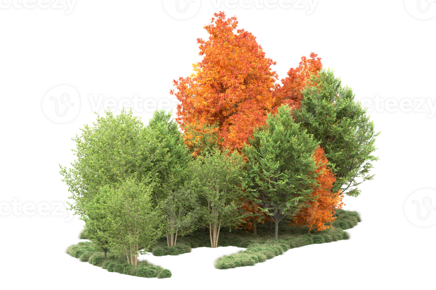 Tropical forest isolated on transparent background. 3d rendering - illustration png