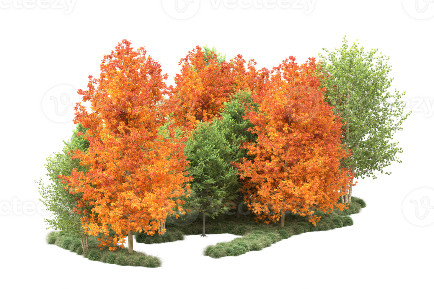 Tropical forest isolated on transparent background. 3d rendering - illustration png