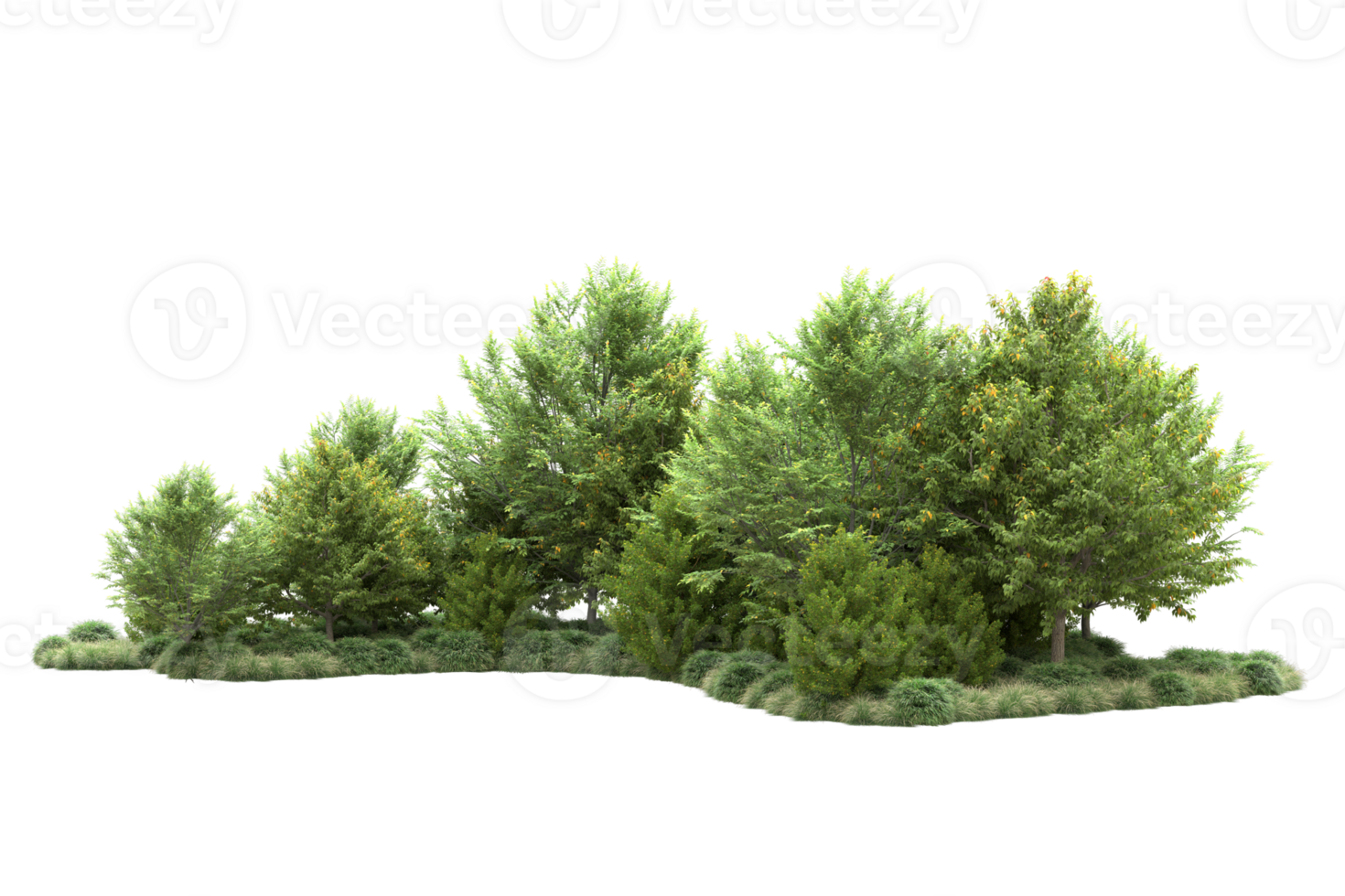 Tropical forest isolated on transparent background. 3d rendering - illustration png