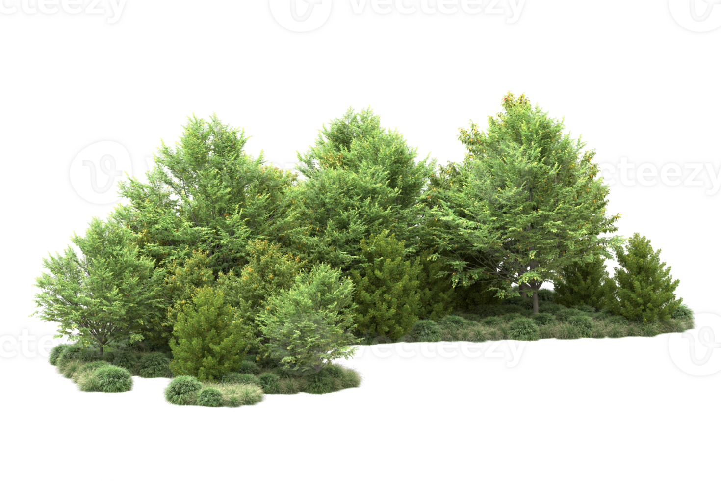 Tropical forest isolated on transparent background. 3d rendering - illustration png