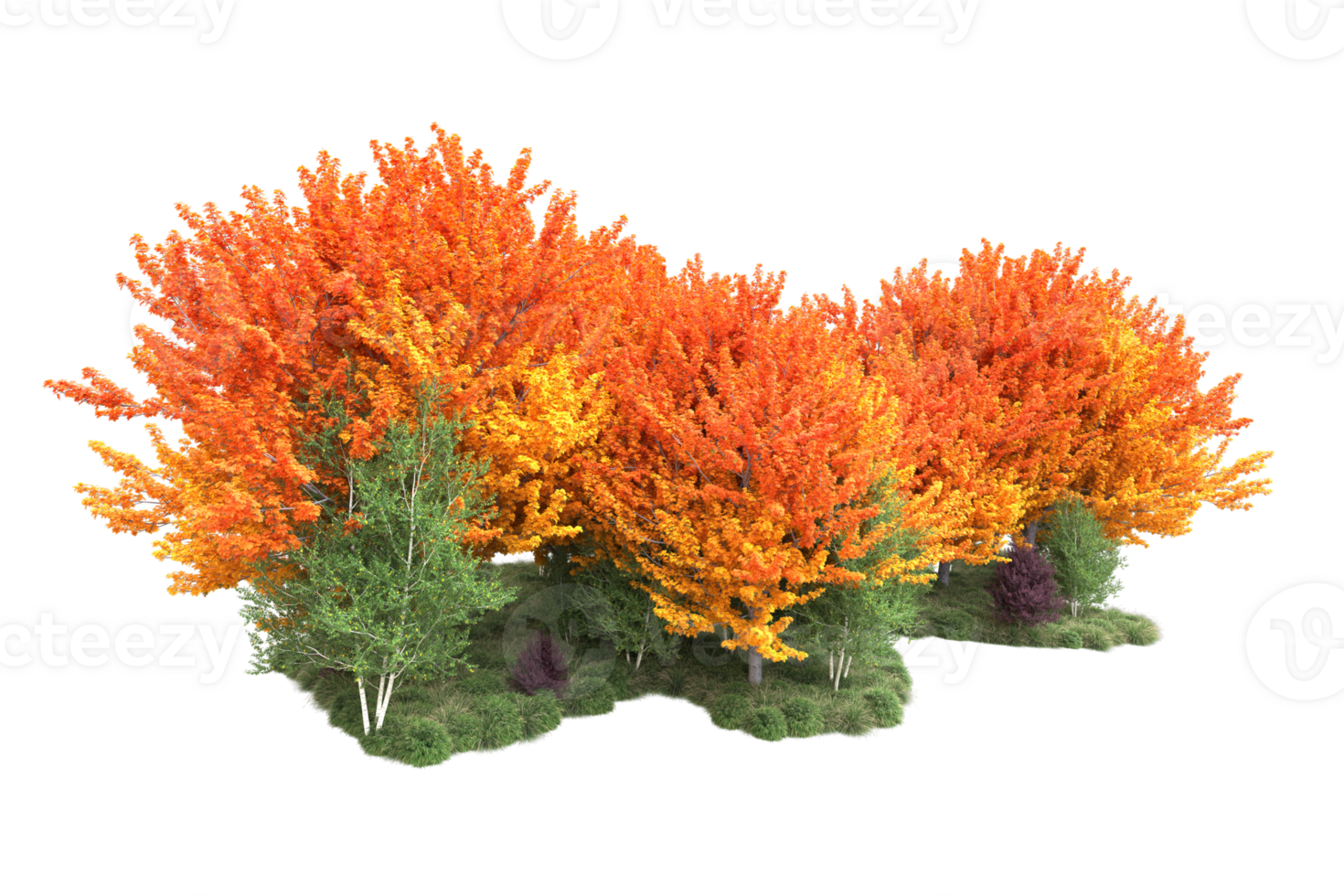 Tropical forest isolated on transparent background. 3d rendering - illustration png