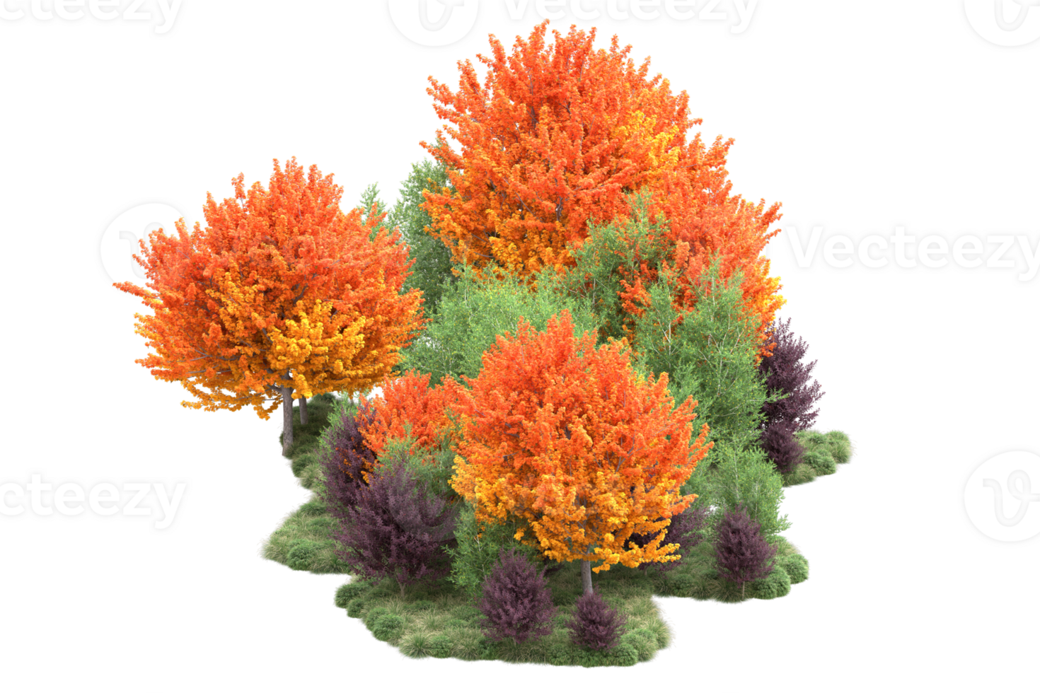 Tropical forest isolated on transparent background. 3d rendering - illustration png