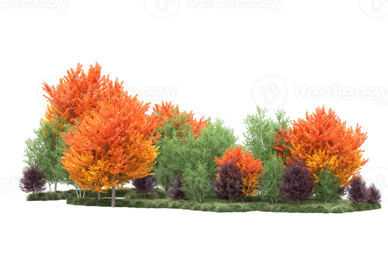 Tropical forest isolated on transparent background. 3d rendering - illustration png