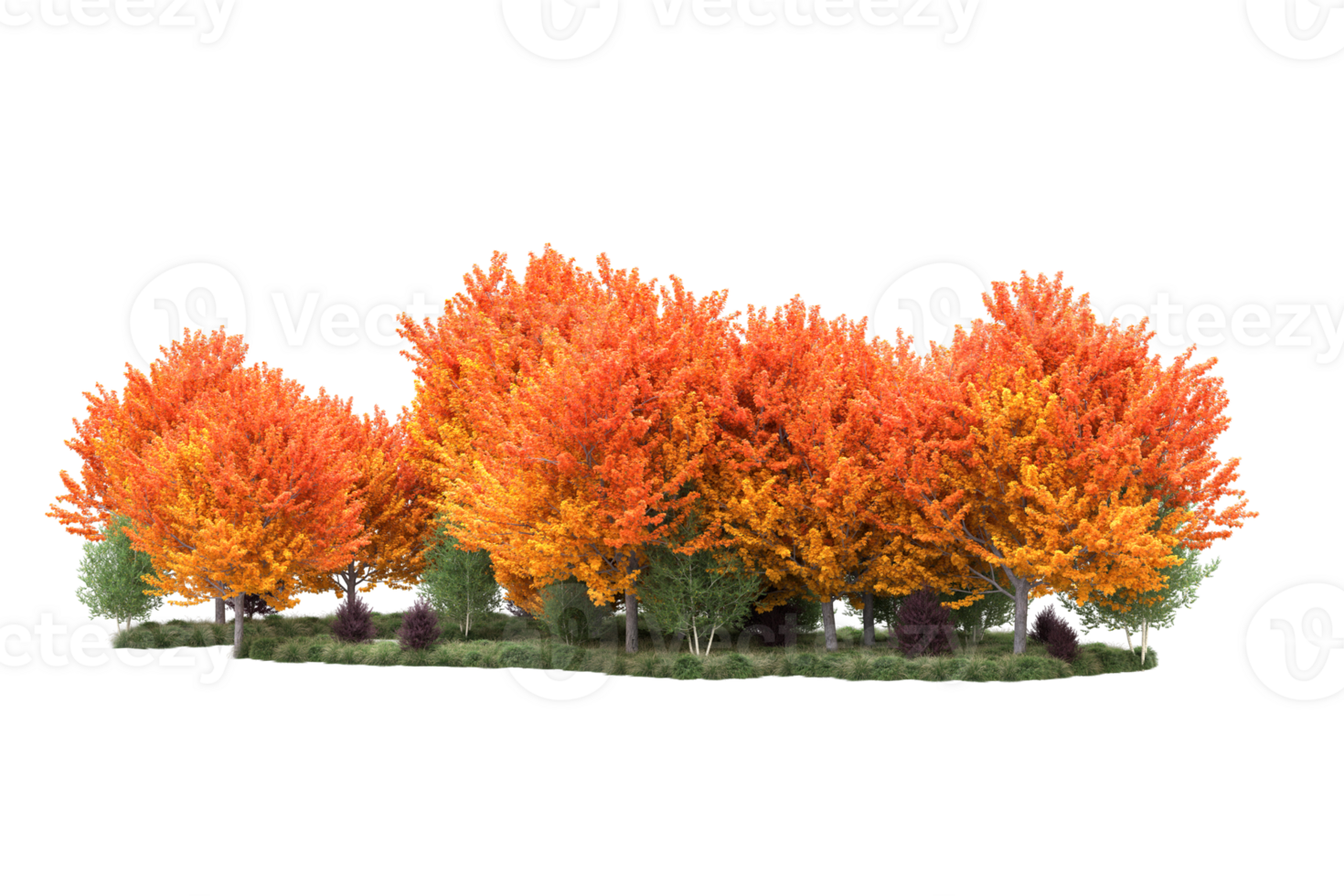 Tropical forest isolated on transparent background. 3d rendering - illustration png