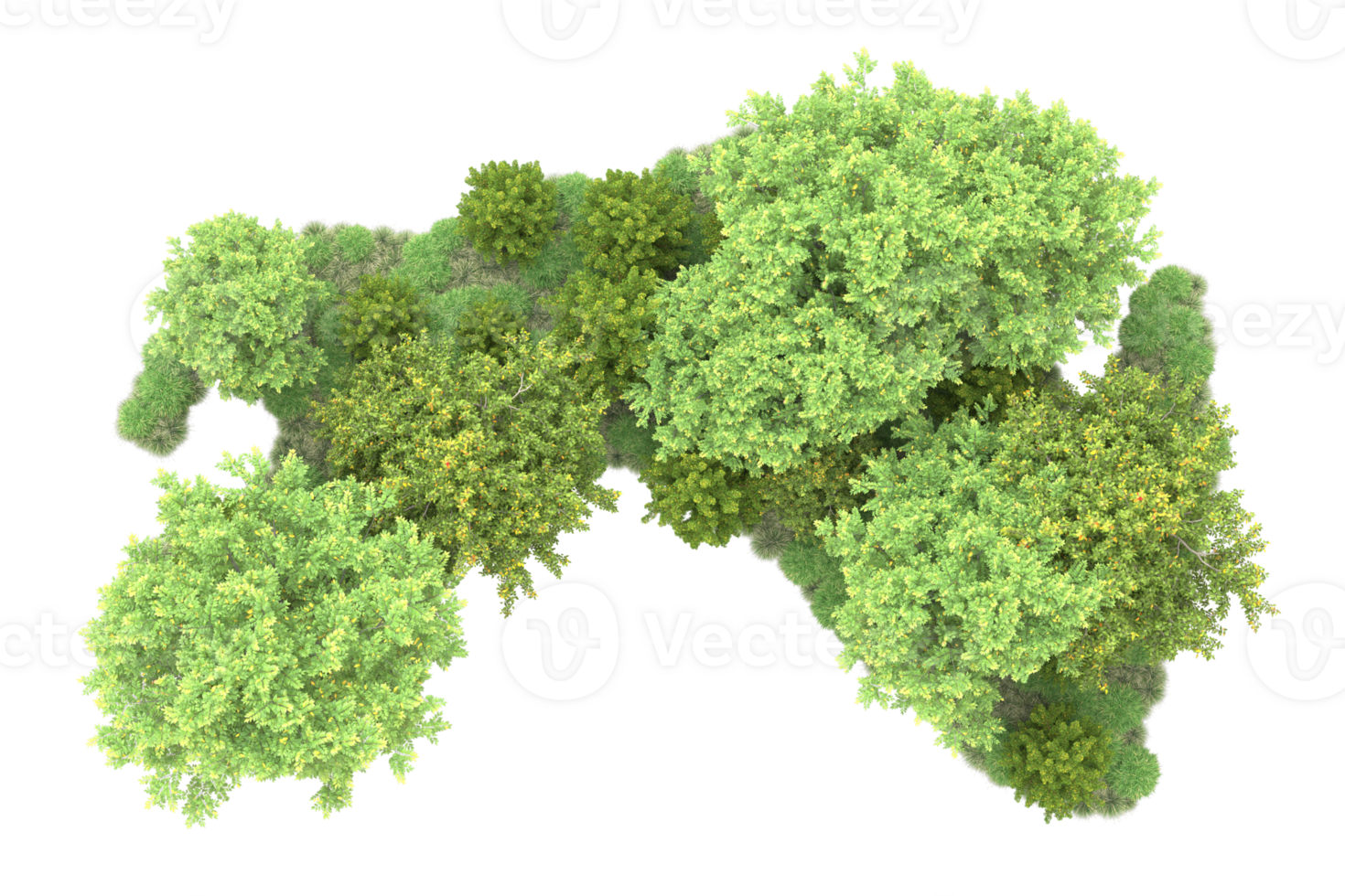 Tropical forest isolated on transparent background. 3d rendering - illustration png