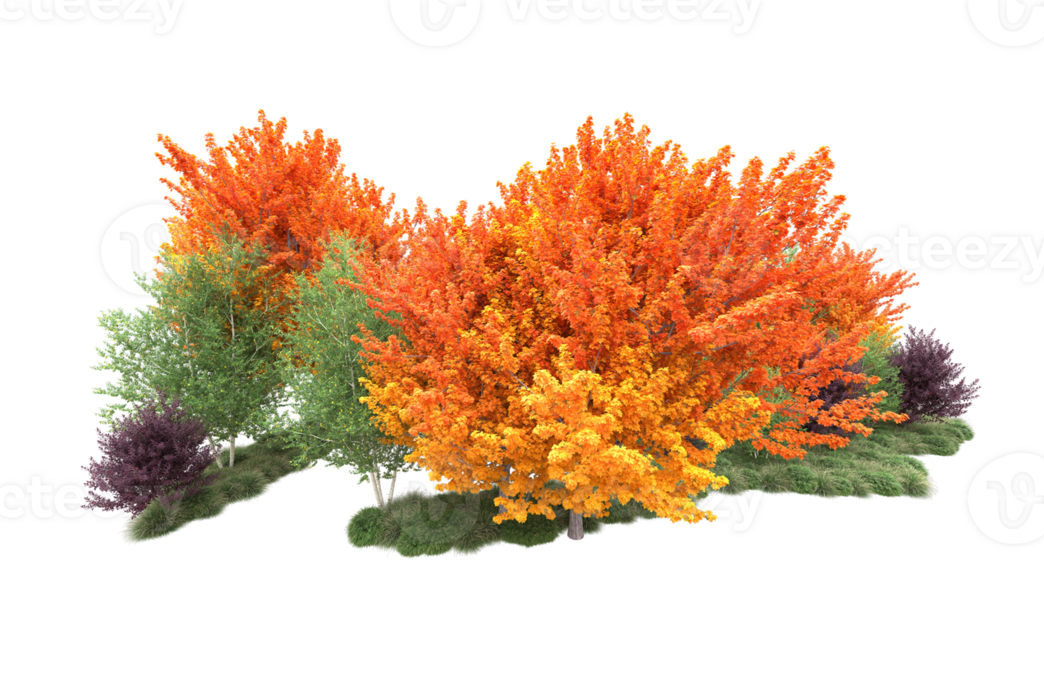 Tropical forest isolated on transparent background. 3d rendering - illustration png