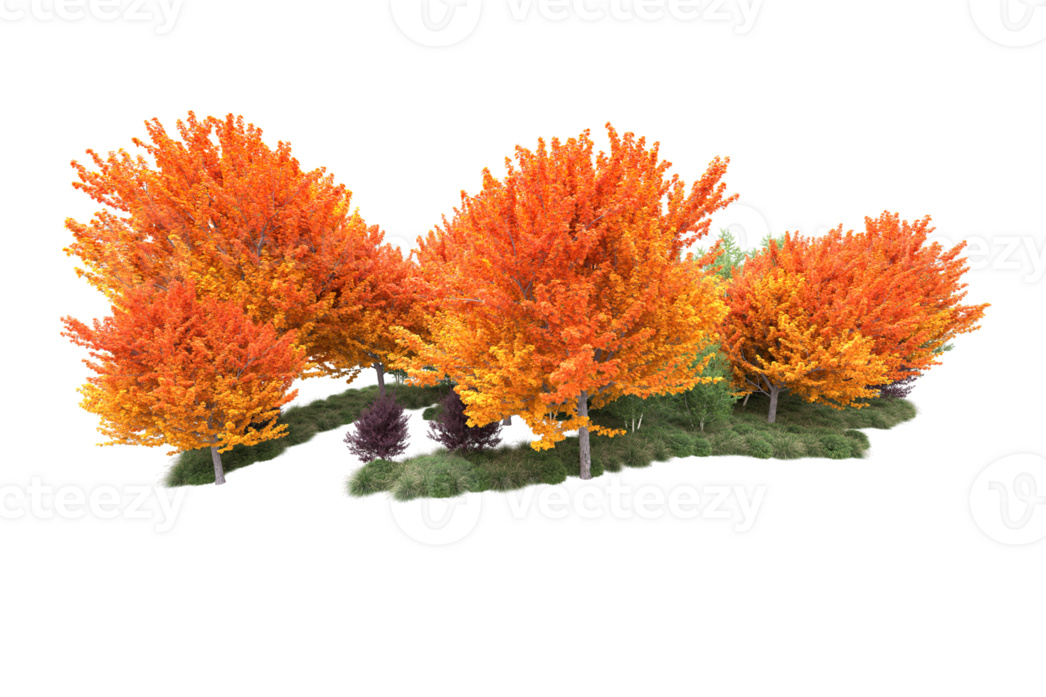 Tropical forest isolated on transparent background. 3d rendering - illustration png