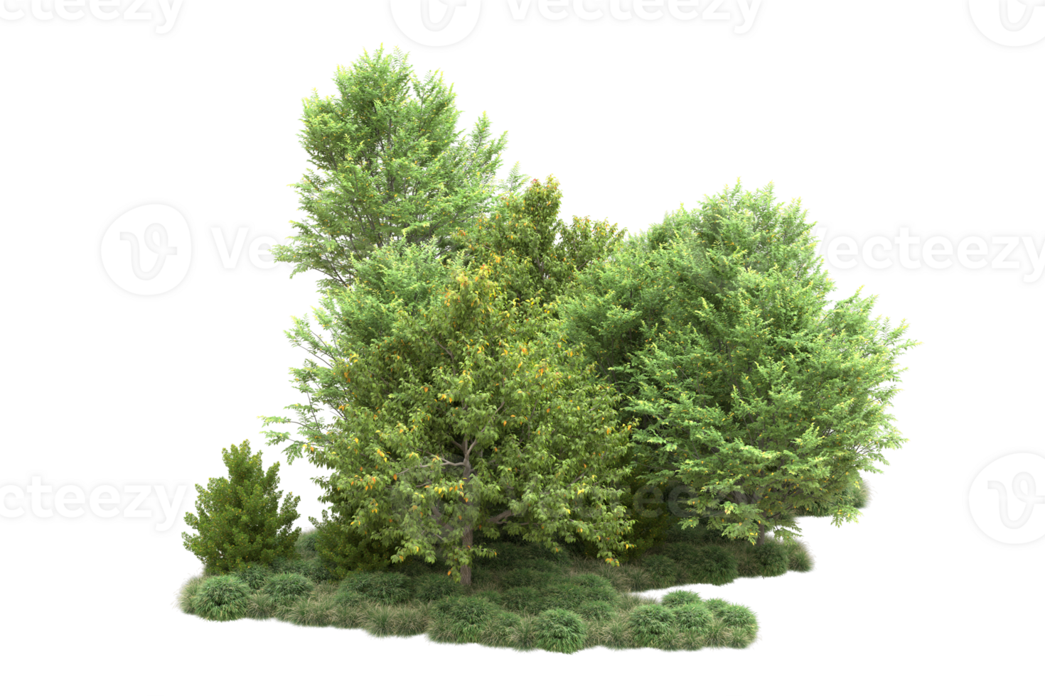 Tropical forest isolated on transparent background. 3d rendering - illustration png