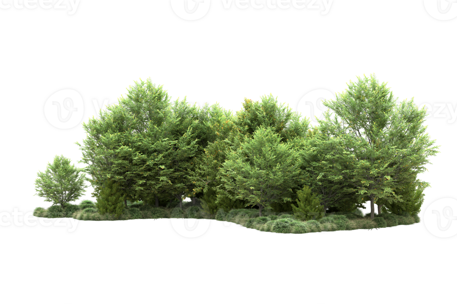 Tropical forest isolated on transparent background. 3d rendering - illustration png