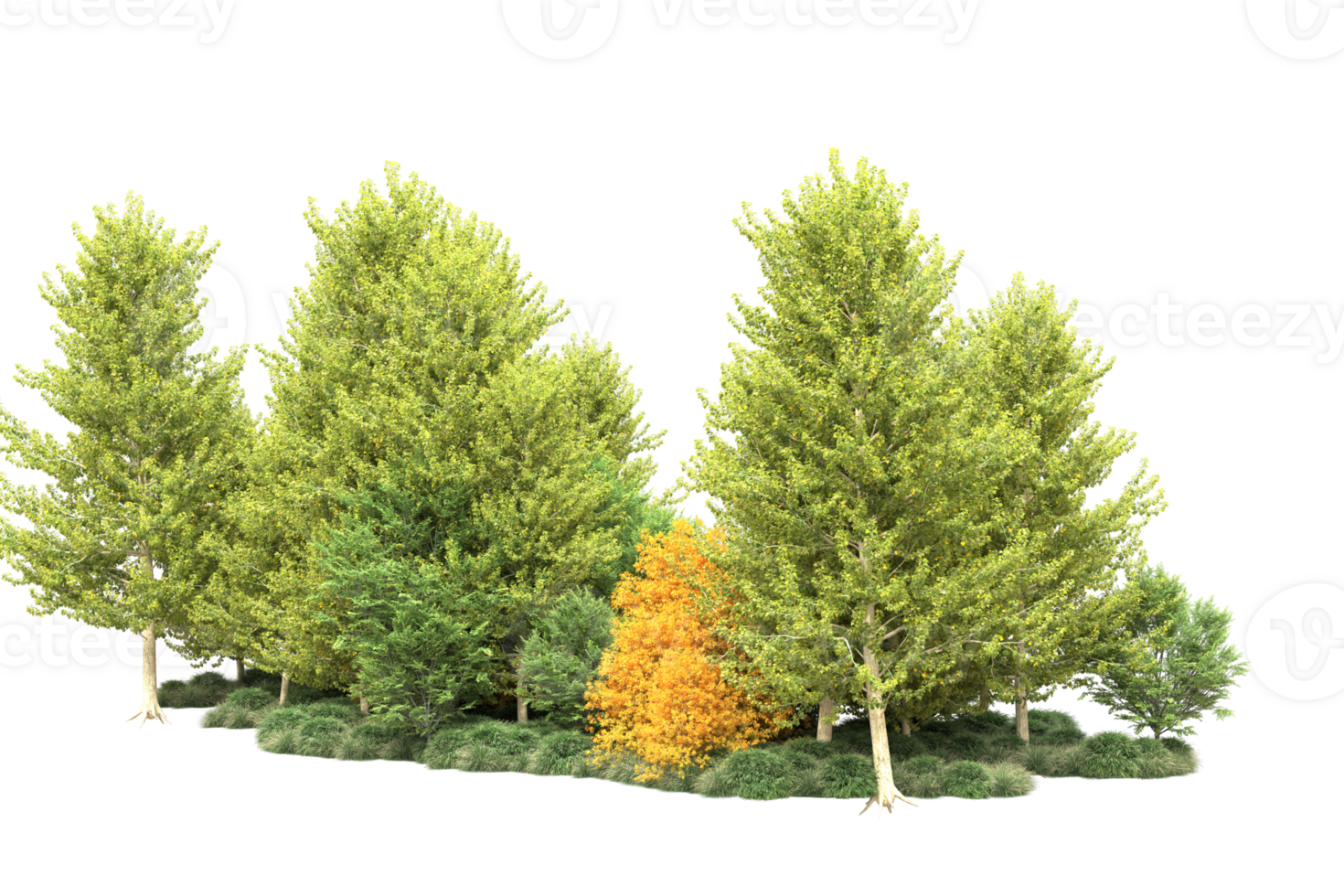 Tropical forest isolated on transparent background. 3d rendering - illustration png