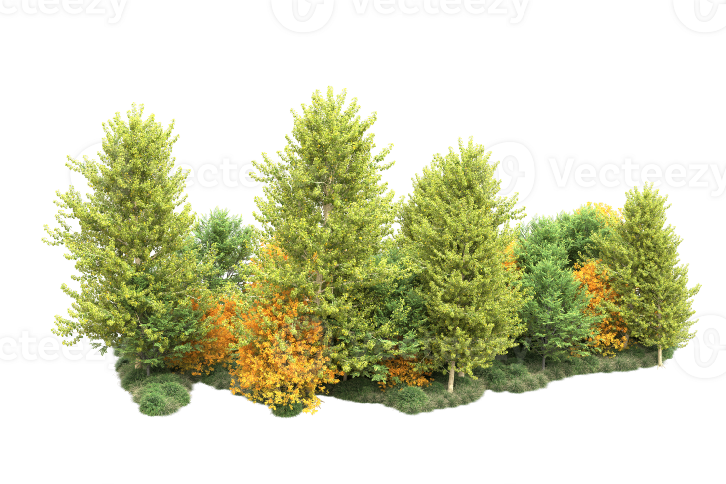 Tropical forest isolated on transparent background. 3d rendering - illustration png