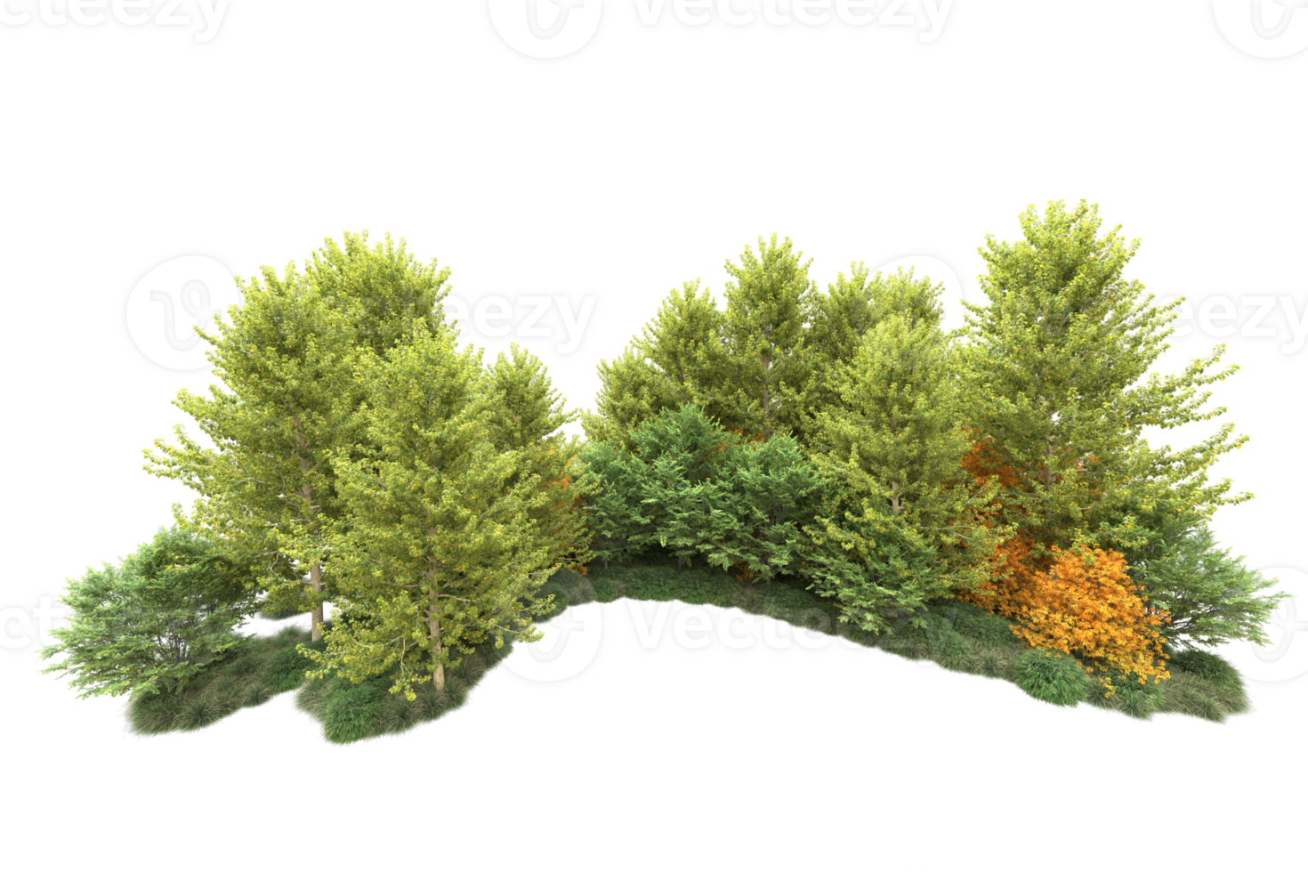 Tropical forest isolated on transparent background. 3d rendering - illustration png