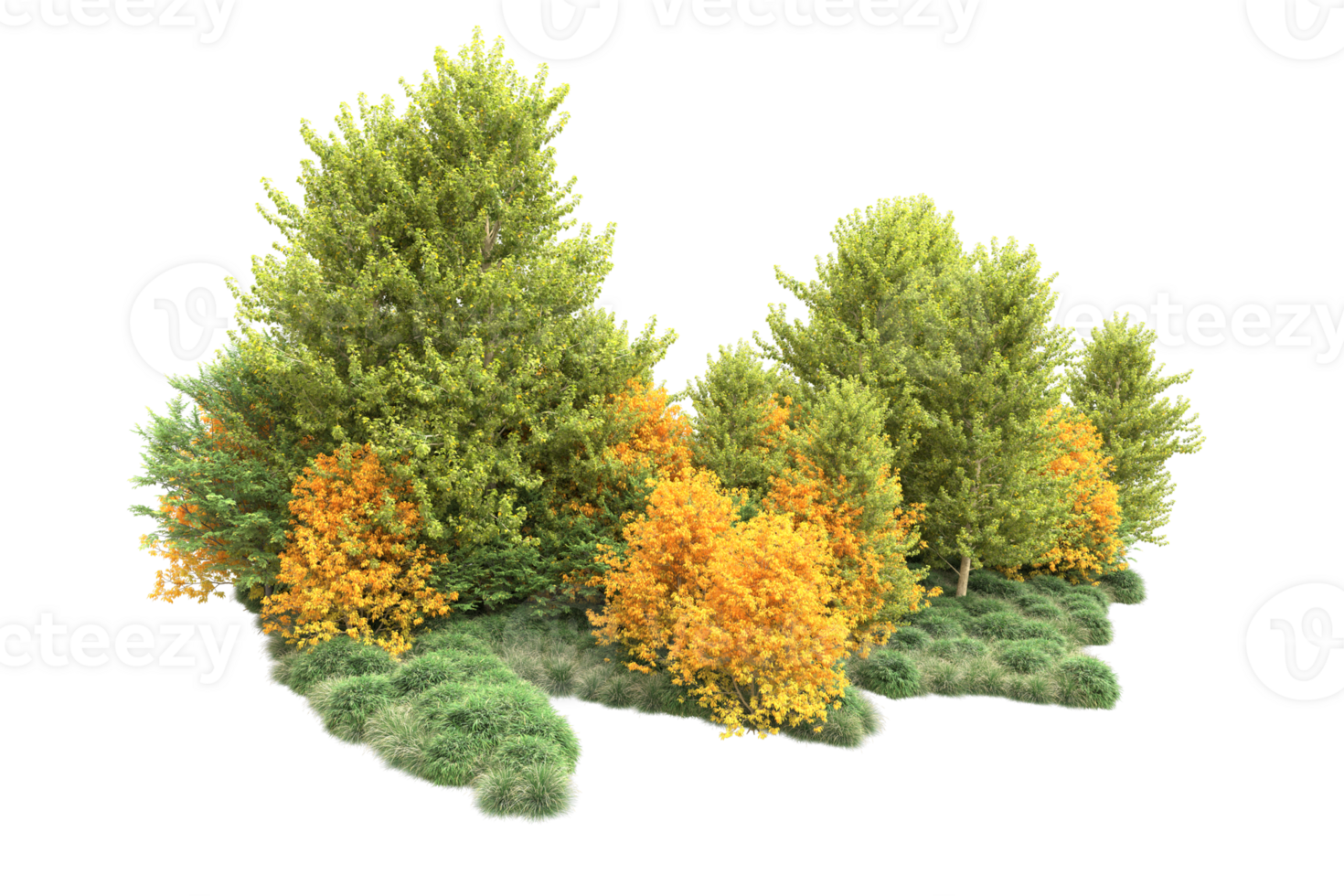 Tropical forest isolated on transparent background. 3d rendering - illustration png