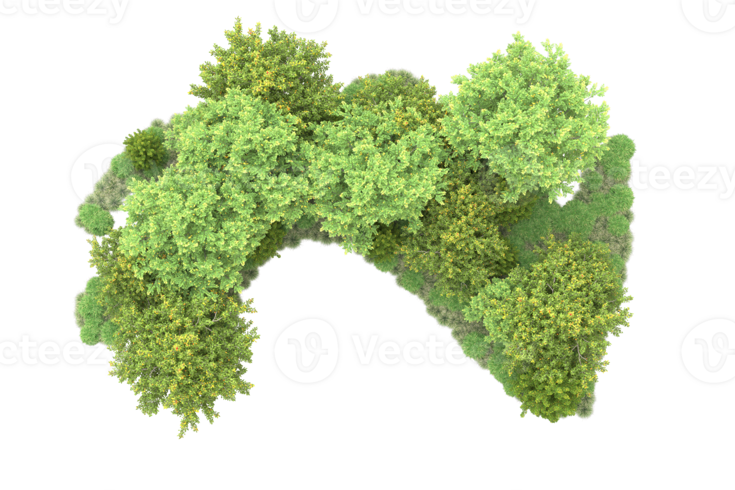 Tropical forest isolated on transparent background. 3d rendering - illustration png