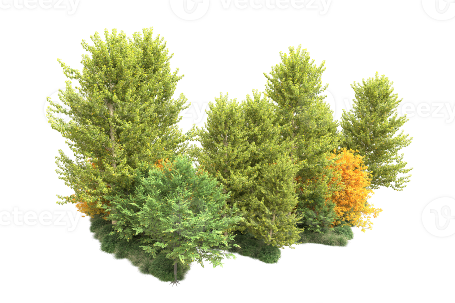 Tropical forest isolated on transparent background. 3d rendering - illustration png