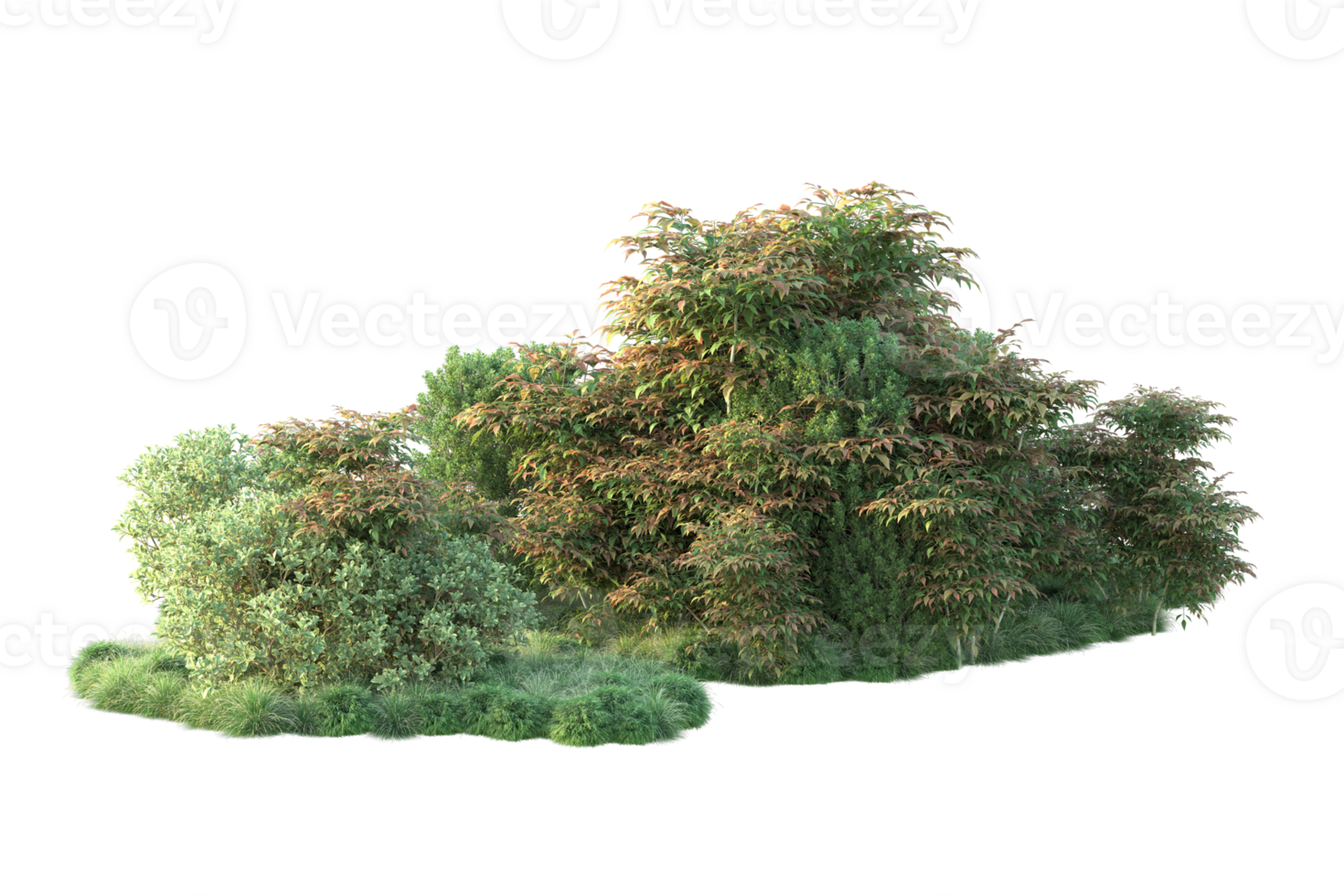 Tropical forest isolated on transparent background. 3d rendering - illustration png