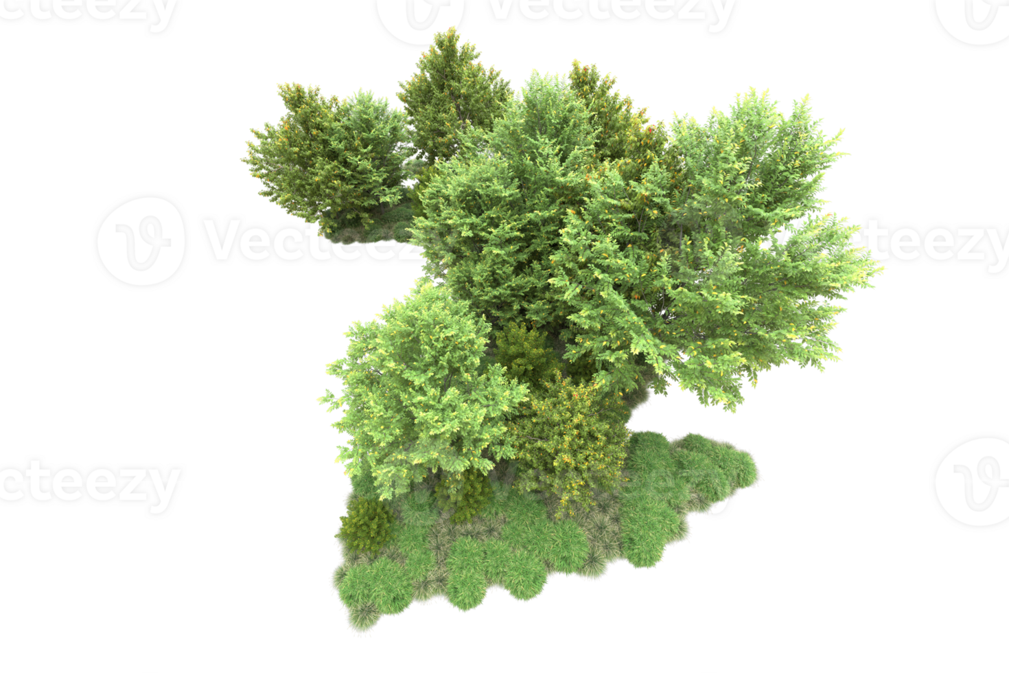 Tropical forest isolated on transparent background. 3d rendering - illustration png