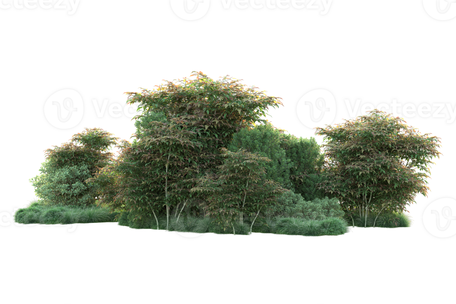 Tropical forest isolated on transparent background. 3d rendering - illustration png