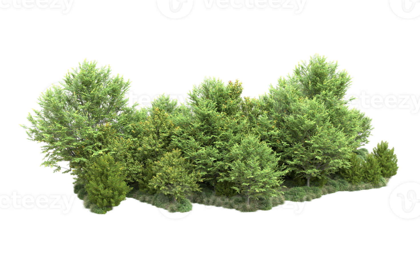 Tropical forest isolated on transparent background. 3d rendering - illustration png