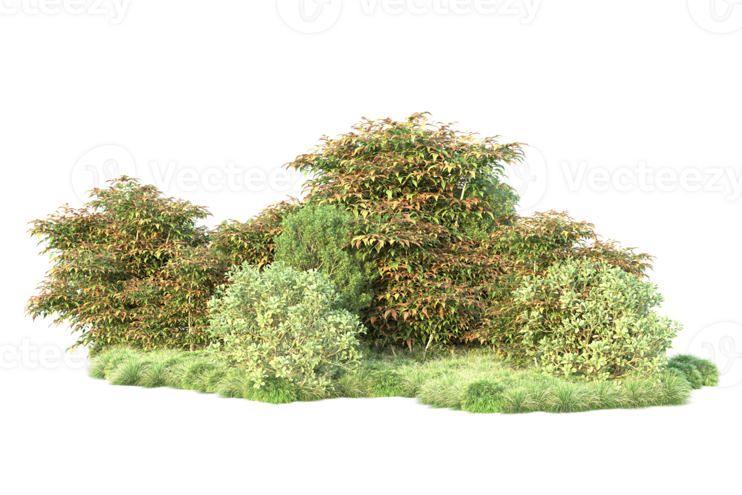 Tropical forest isolated on transparent background. 3d rendering - illustration png