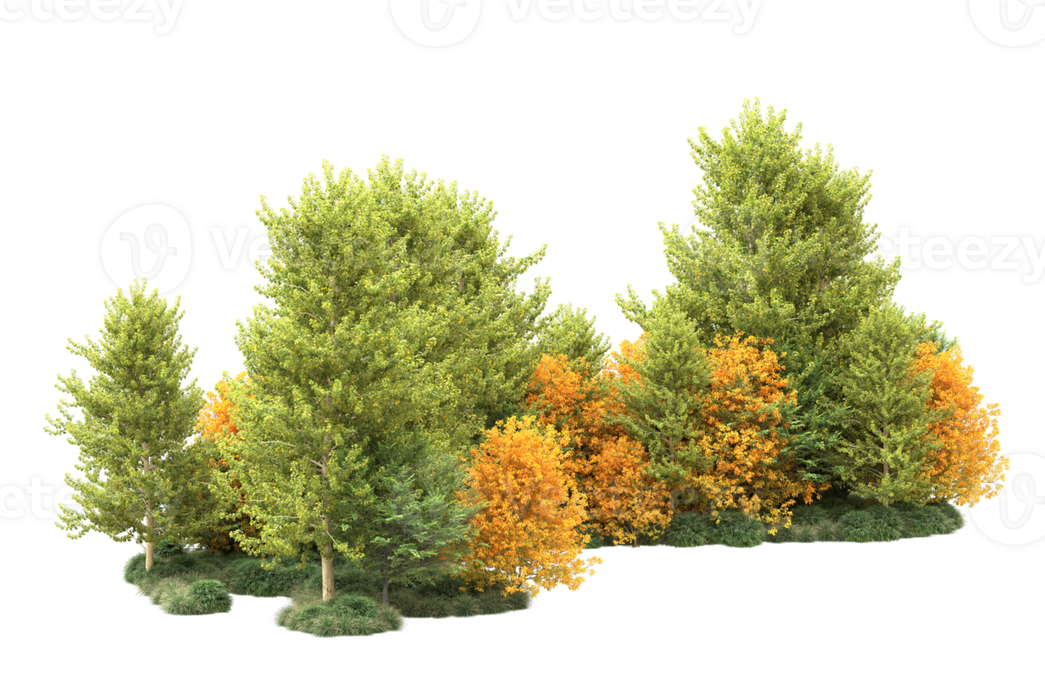 Tropical forest isolated on transparent background. 3d rendering - illustration png