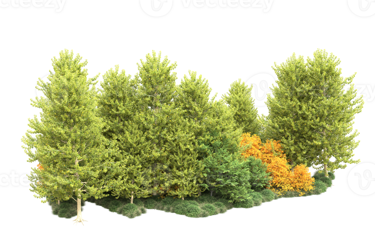 Tropical forest isolated on transparent background. 3d rendering - illustration png