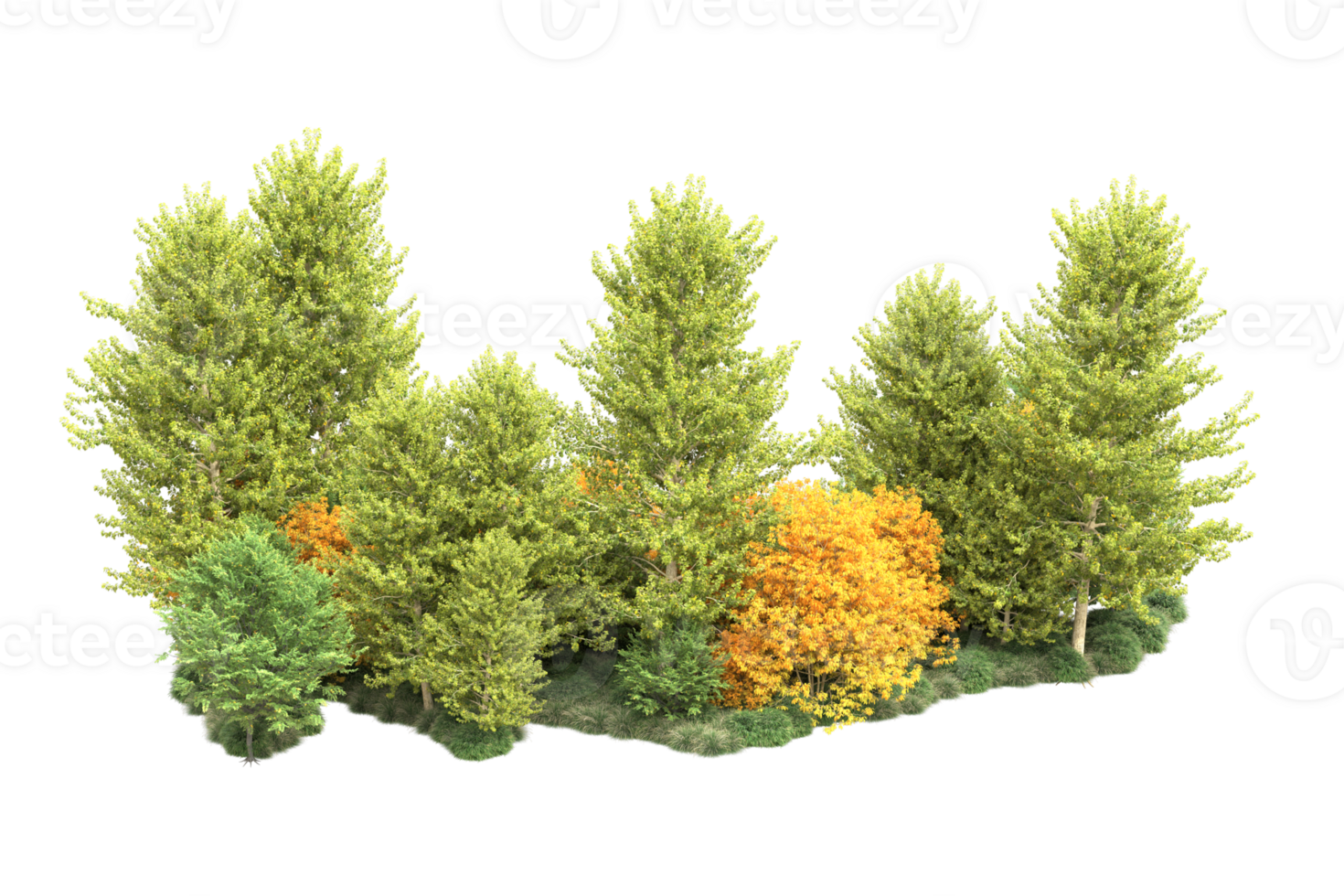 Tropical forest isolated on transparent background. 3d rendering - illustration png