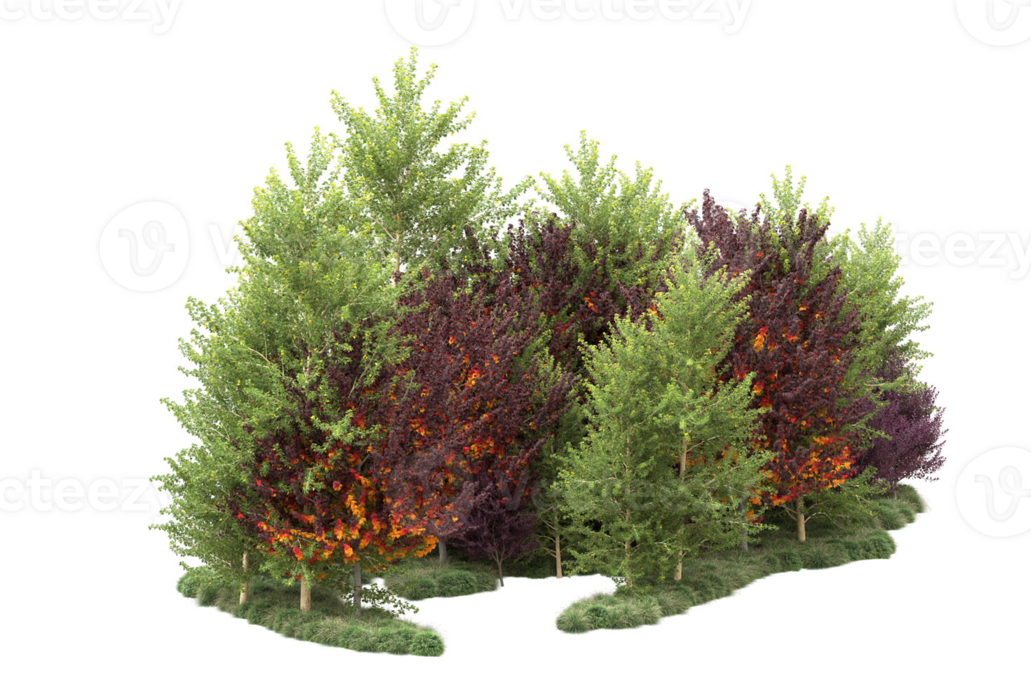 Tropical forest isolated on transparent background. 3d rendering - illustration png