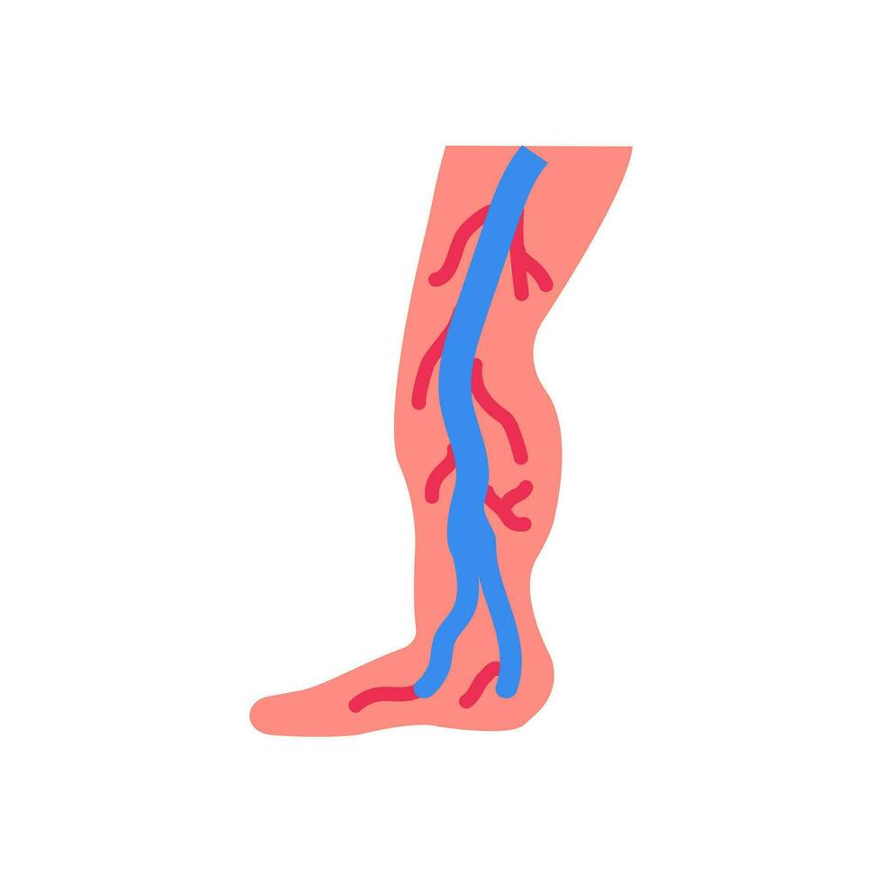 anterior tibial vena icono en vector. logotipo vector