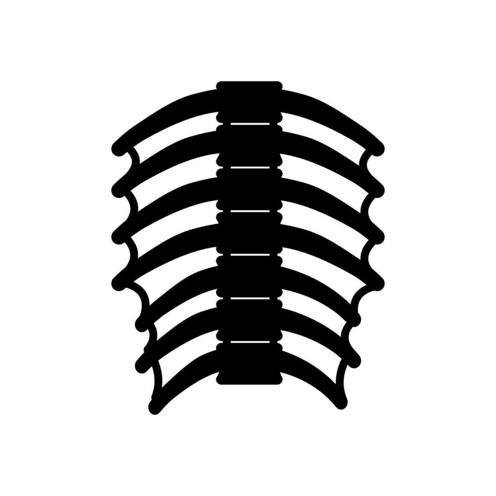 Thoracic Muscles icon in vector. Logotype vector