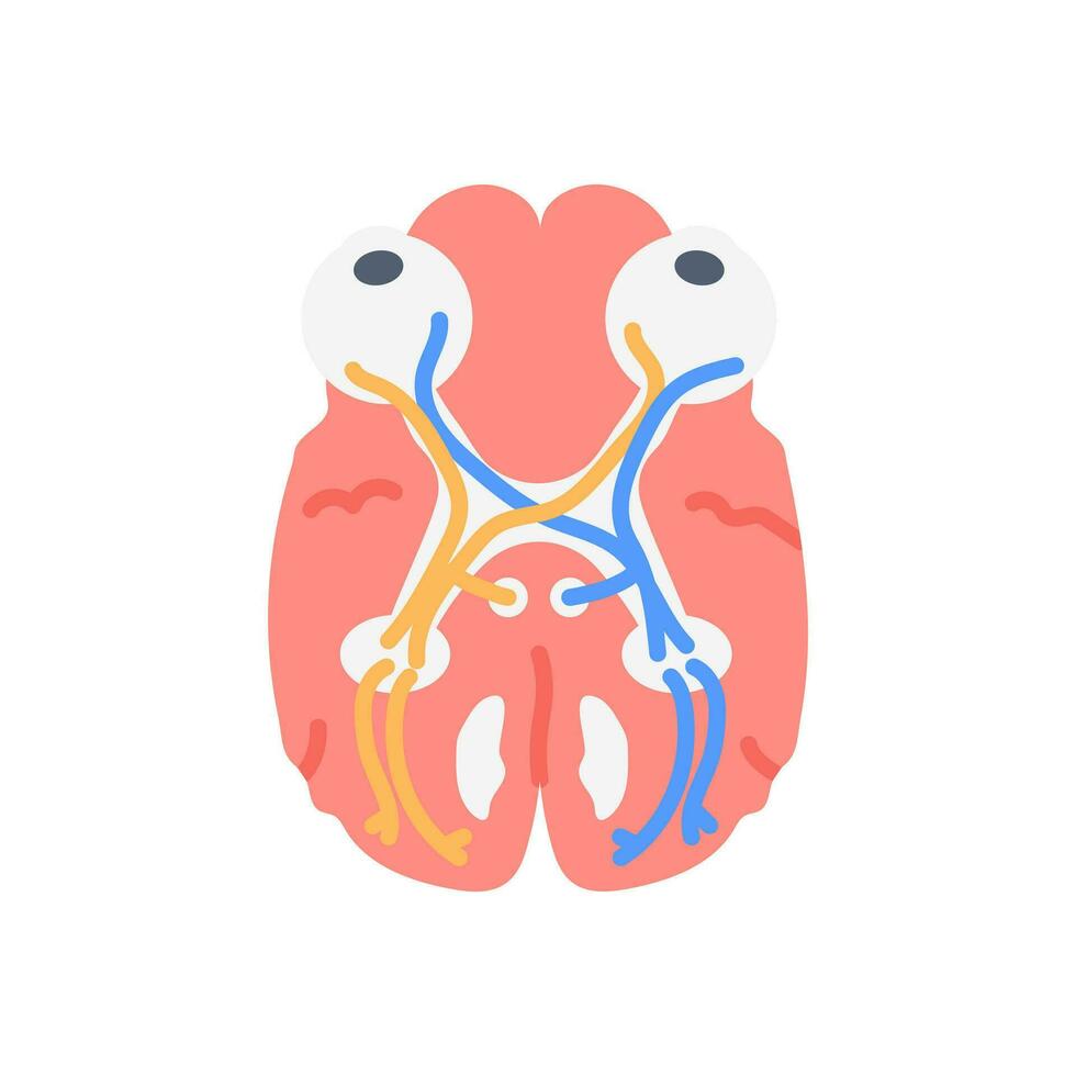 Optic Chiasm icon in vector. Logotype vector